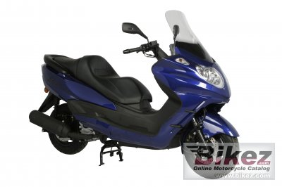 2010 Linhai Mainstreet 300 photo
